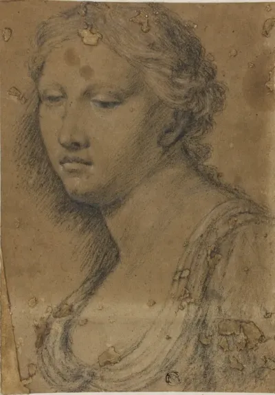 Bust of Woman