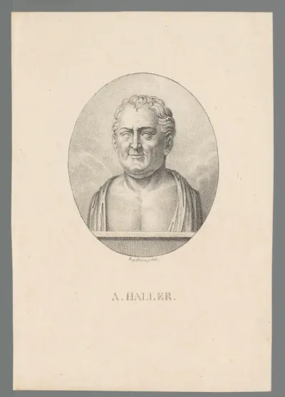 Buste van Albrecht von Haller