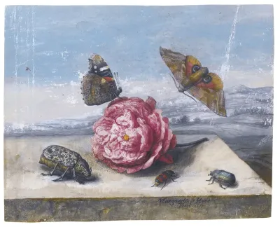 Butterflies and beetles around a rose on a stone ledge