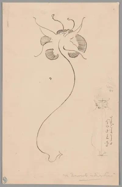 Butterfly (recto); Study of Butterfly (verso)