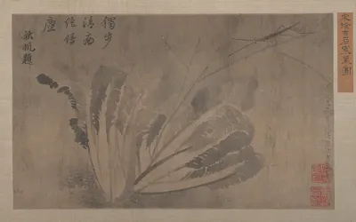 Cabbage and Insects