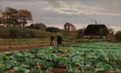 Cabbage patch
