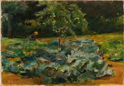 Cabbage patch in the Wannsee garden