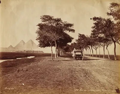Caire. Allée de Pyramides