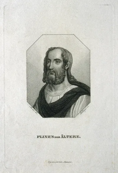 Caius Plinius Secundus senior