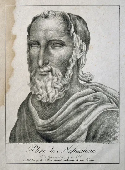 Caius Plinius Secundus