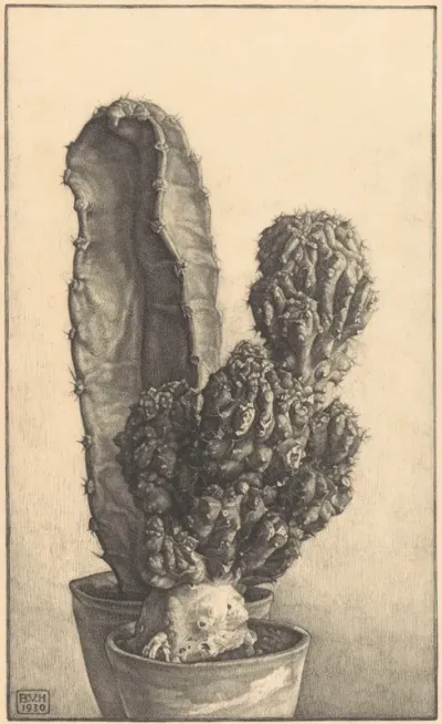 Caktussen