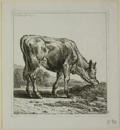 Calf Feeding, from Die Zweite Thierfolge