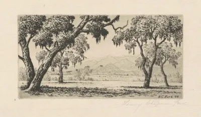 California Landscape