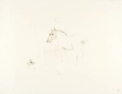 Calmèse's Little Pony