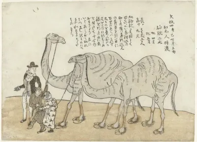 Camel and Dromedary