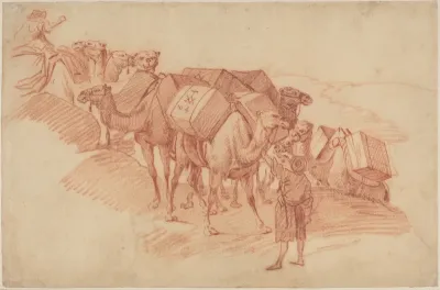 Camel Caravan