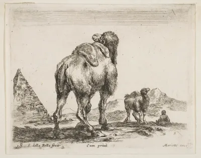 Camel viewed from behind with pyramid at left, plate 18 from "Various Animals" (Diversi Animali)