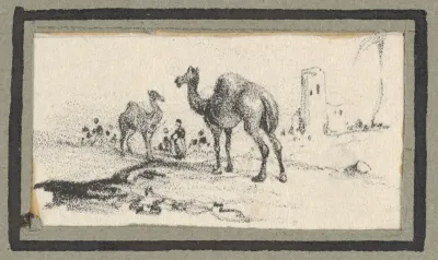 Camels in a Landscape