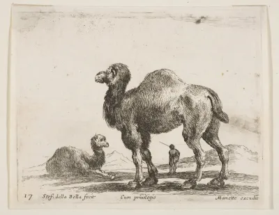 Camels, plate 17 from "Various Animals" (Diversi Animali)