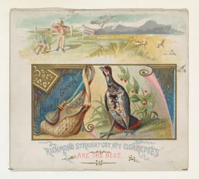 Canada Grouse, from the Game Birds series (N40) for Allen & Ginter Cigarettes
