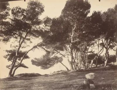 Cannes, Ile Saint Honorat, c. 1899