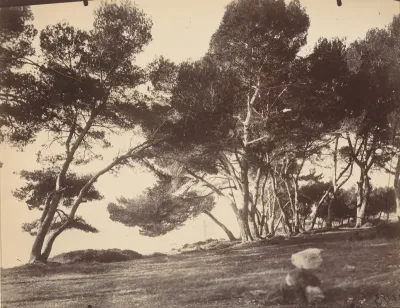 Cannes, Ile Saint Honorat