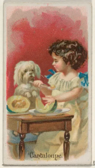 Cantaloupe, from the Fruits series (N12) for Allen & Ginter Cigarettes Brands