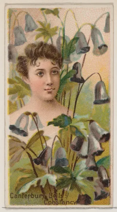 Canterbury Bells: Constancy, from the series Floral Beauties and Language of Flowers (N75) for Duke brand cigarettes