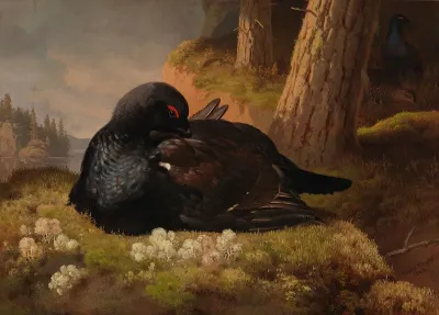 Capercaillie