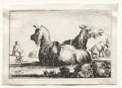 Caprices:  Two Goats