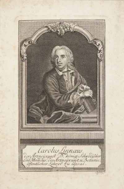 Carl Linné