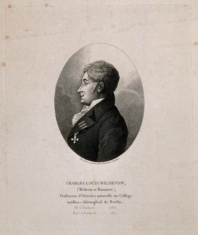 Carl Ludwig Wildenow