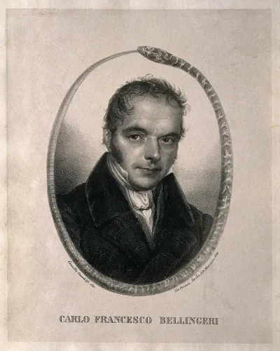 Carlo Francesco Bellingeri