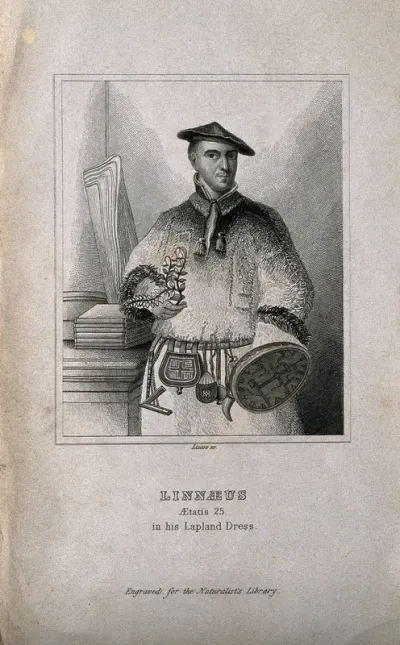 Carolus Linnaeus