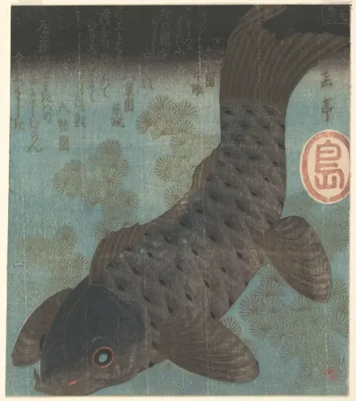 Carp and Pine
