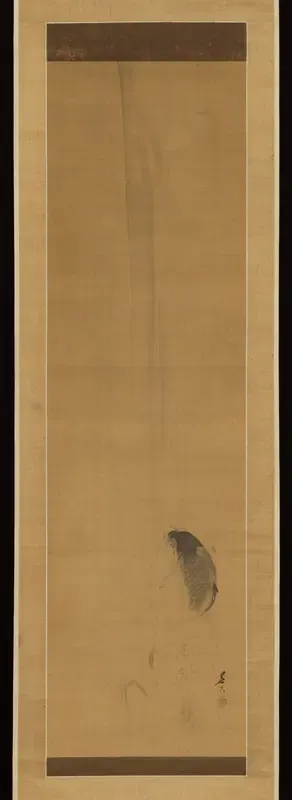 Carp Ascending Waterfall