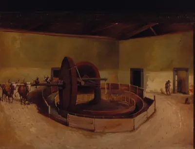 Carretão para beneficiar café - Campinas, 1850