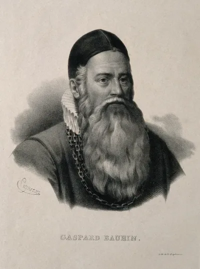Caspar Bauhin. Lithograph by P. R. Vignéron