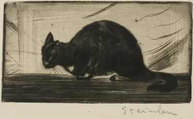 Cat Arching Its Back
