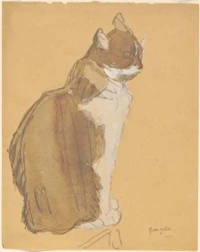Cat with a White Front