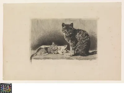 Cat with two kittens sleeping