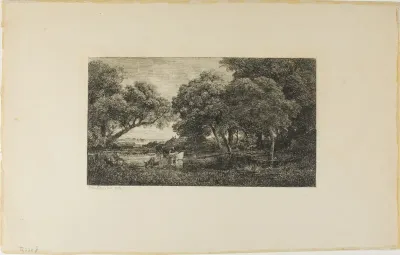 Cattle by a Pool