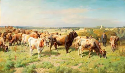 Cattle in the fields.