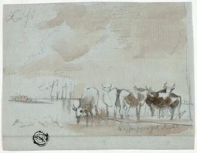 Cattle in Water