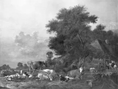 cattle + sheep