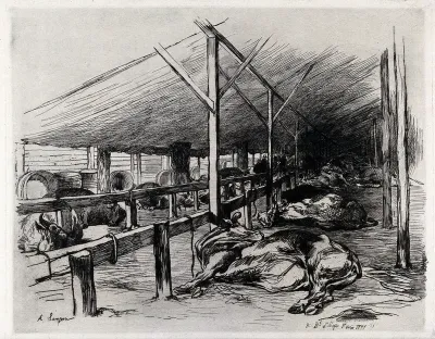Cattle sleeping in a barn