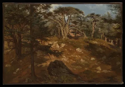 Cedars of Lebanon