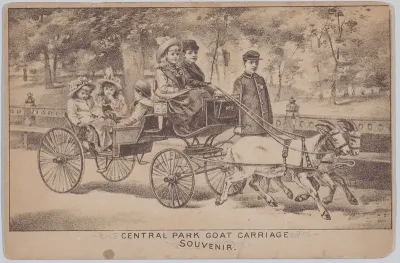 Central Park Goat Carriage (Souvenir Postcard)