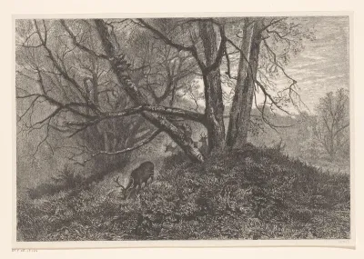 Cerfs au gagnage