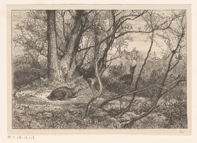 Cerfs de Virginie