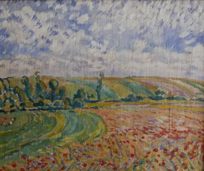 Champ de coquelicots