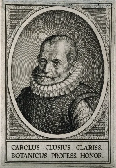 Charles de l'Ecluse [Clusius]