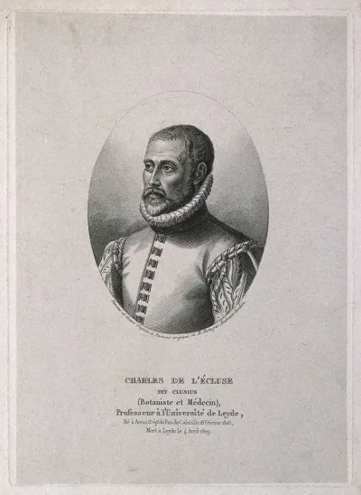 Charles de l'Ecluse [Clusius]