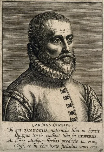 Charles de l'Ecluse [Clusius]